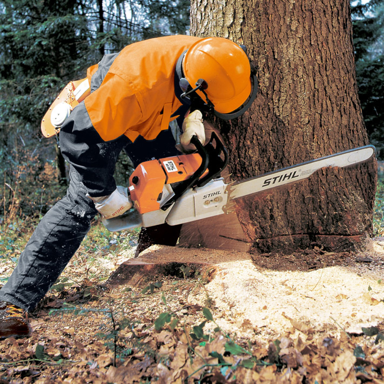 Stihl Benzin-Motorsäge MS 880 (29) in Stadtallendorf bei Seim